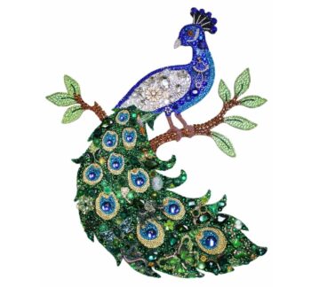 Peacock 2
