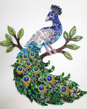 Peacock 3