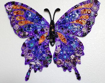 Butterfly 3